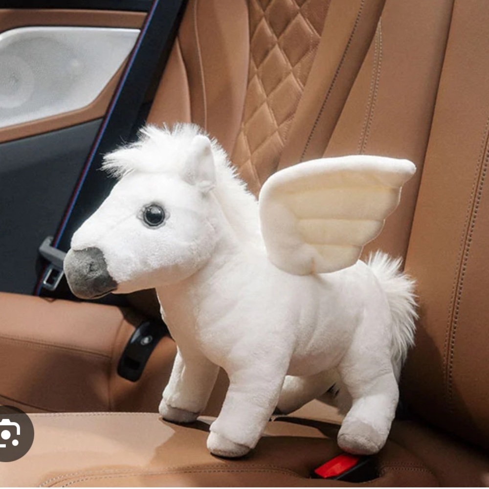 BMW Pegasus